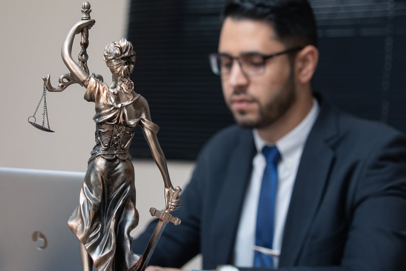 Human Rights Lawyer