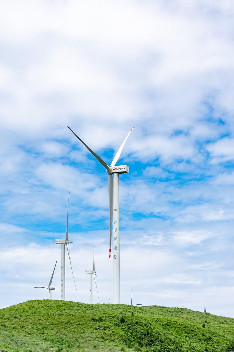Sustainability Consultant